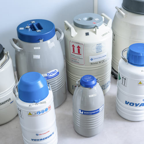 複数メーカーの液体窒素容器が並んでいる写真